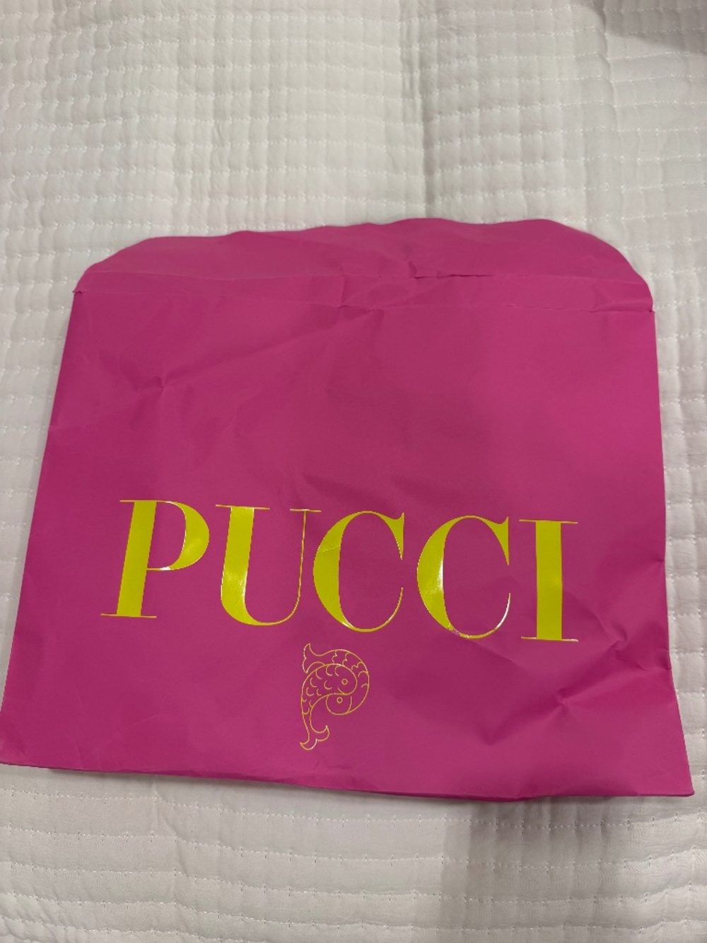 Pucci swim